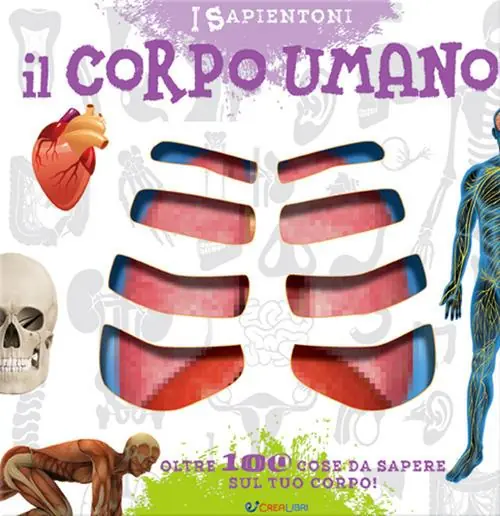 Il corpo umano. Oltre 100 cose da sapere sul tuo corpo Saldi