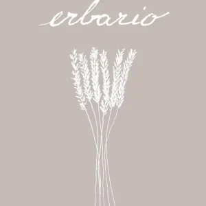 Compra Oggi Stesso Erbario. Ediz. illustrata