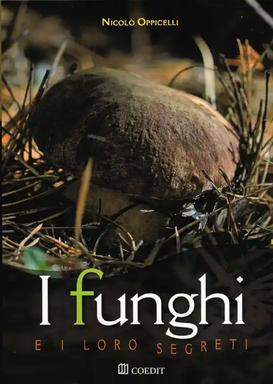 Offerta I funghi e i loro segreti. Riconoscerli, trovarli, gustarli...