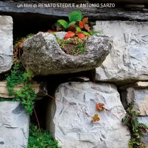 Consegna Rapida Inter lapides. Con DVD video