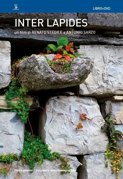 Consegna Rapida Inter lapides. Con DVD video
