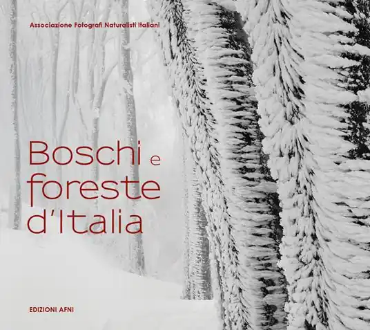 Più Venduto Boschi e foreste d‘Italia. Ediz. illustrata