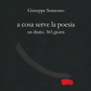 A cosa serve la poesia. Un diario. 365 giorni Offerta Speciale