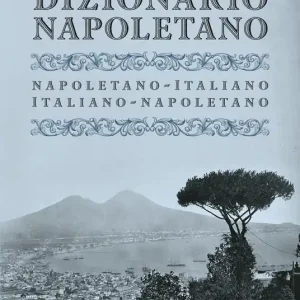 Dizionario napoletano Offerta Limitata