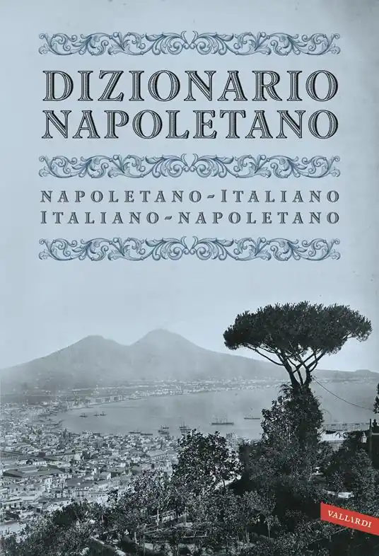 Dizionario napoletano Offerta Limitata