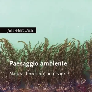 Paesaggio ambiente. Natura, territorio, percezione Consegna Rapida