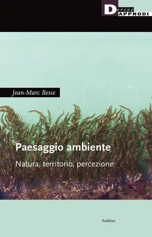 Paesaggio ambiente. Natura, territorio, percezione Consegna Rapida