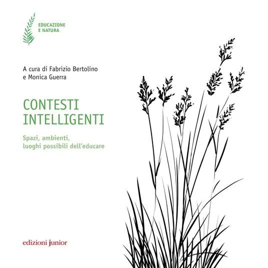 Contesti intelligenti. Spazi, ambienti, luoghi possibili dell‘educare Più Venduto