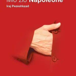 Mio zio Napoleone Spedito Oggi