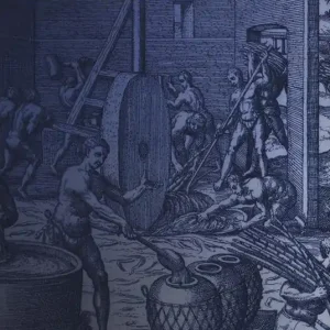 Quantità Limitata Storia dello zucchero. Tra politica e cultura