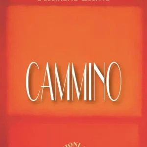 Occasione Cammino. Nuova ediz.