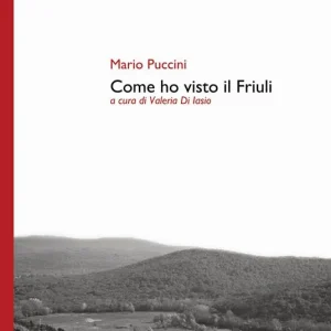 Offerta Speciale Come ho visto il Friuli. Ediz. critica