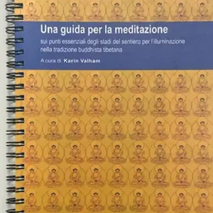 Una guida per la meditazione sui punti essenziali degli stadi del sentiero per l‘illuminazione nella tradizione buddhista tibetana Professionale