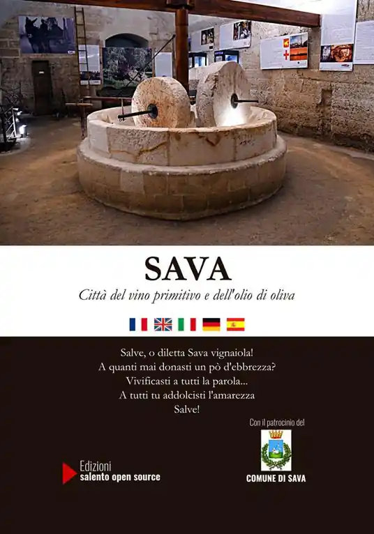 Affare Sava. Città del vino primitivo e dell‘olio di oliva. Ediz. italiana, francese, inglese, spagnola e tedesca. Con DVD video