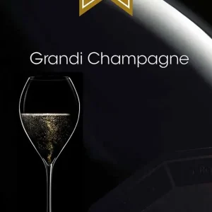 Grandi Champagne 2020-2021. Guida alle migliori bollicine francesi in Italia Acquista Ora