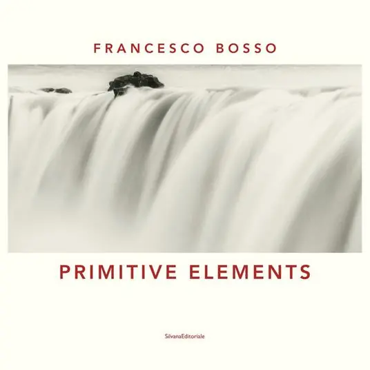 Primitive elements. Catalogo della mostra (Milano, ottobre-diecmbre 2019) Ediz. italiana e inglese Affare