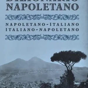 Dizionario napoletano. Nuova ediz. A Buon Prezzo