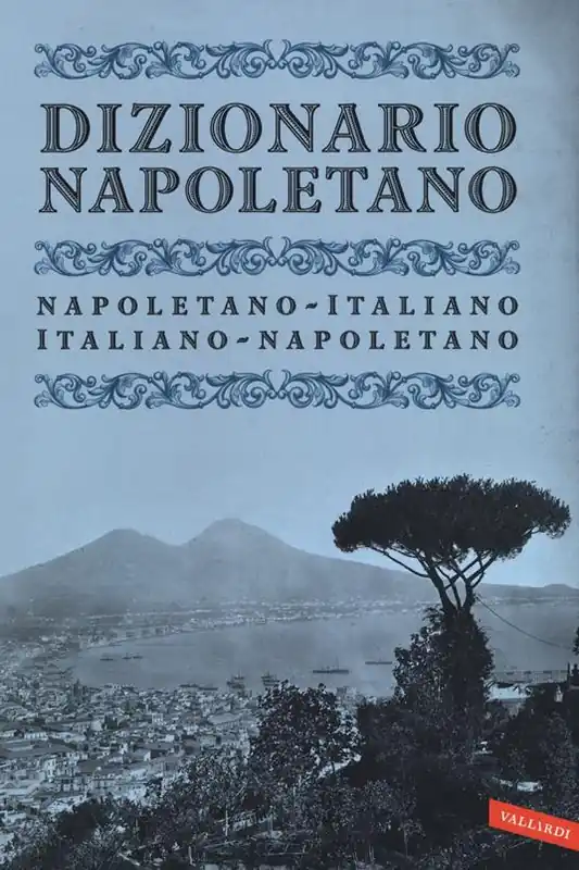Dizionario napoletano. Nuova ediz. A Buon Prezzo