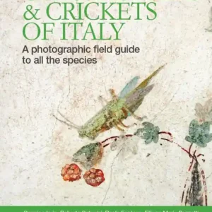 Grasshoppers and crickets of Italy. A photographic field guide to all the species Offerta Lampo
