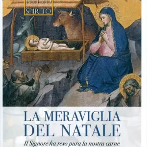 Prezzo Ridotto La meraviglia del Natale. Il Signore ha reso pura la nostra carne