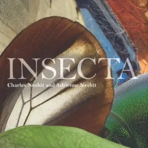 Insecta. Ediz. a colori Spedizione Espresso
