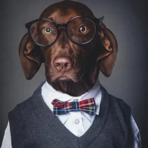 Dog people. Ediz. tedesca, inglese e francese Compra Adesso
