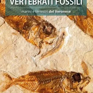 Vertebrati fossili marini e terrestri del Veronese Compra Oggi Stesso
