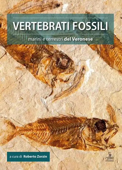 Vertebrati fossili marini e terrestri del Veronese Compra Oggi Stesso