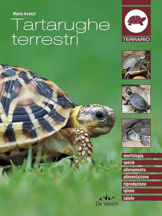 Tartarughe terrestri Miglior Prezzo