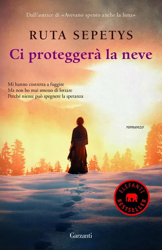 Ci proteggerà la neve Vendita Finale