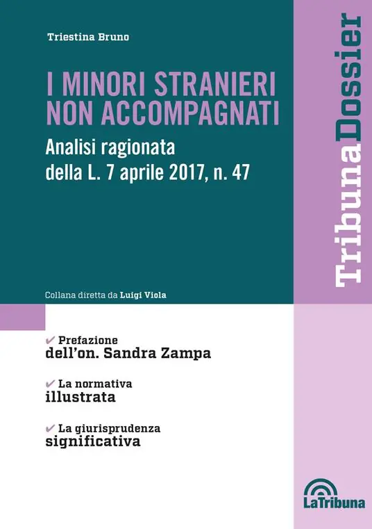 I minori stranieri non accompagnati. Analisi ragionata della L. 7 aprile 2017, n. 47 Prezzo Basso