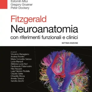 Fitzgerald. Neuroanatomia con riferimenti funzionali e clinici Solo Oggi