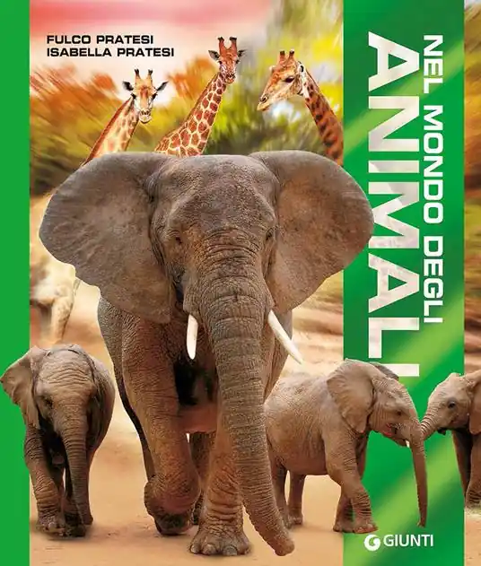 Occasione Nel mondo degli animali. Ediz. a colori