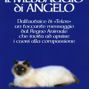 Il messaggio di Angelo Più Venduto