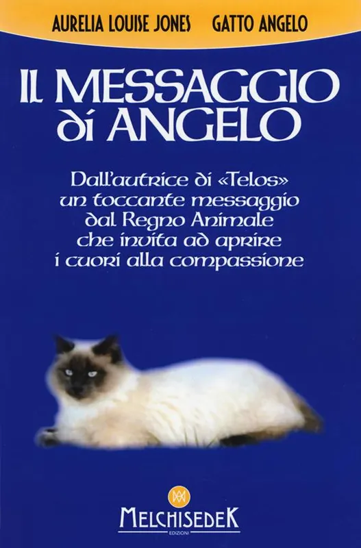 Il messaggio di Angelo Più Venduto