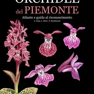 Consegna Rapida Orchidee del Piemonte. Atlante e guida al riconoscimento. Ediz. a colori