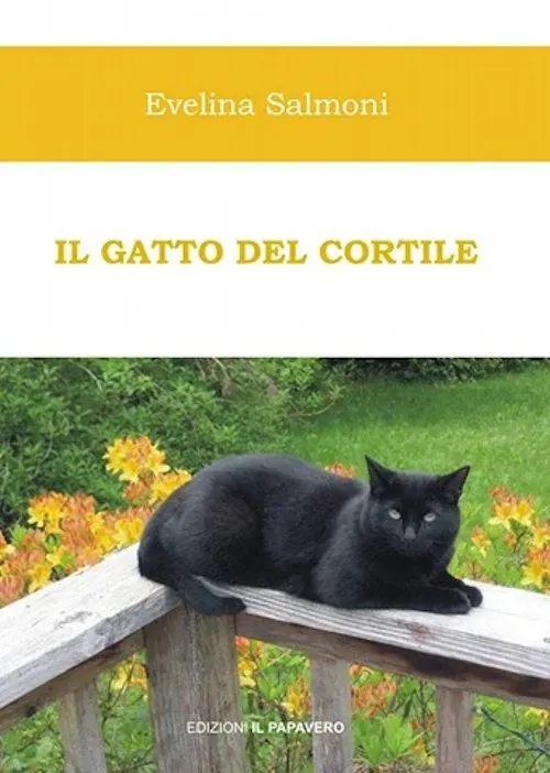 Il gatto del cortile Spedito Oggi