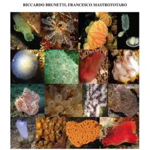 Subito Disponibile Ascidiacea of the European waters. Ediz. illustrata