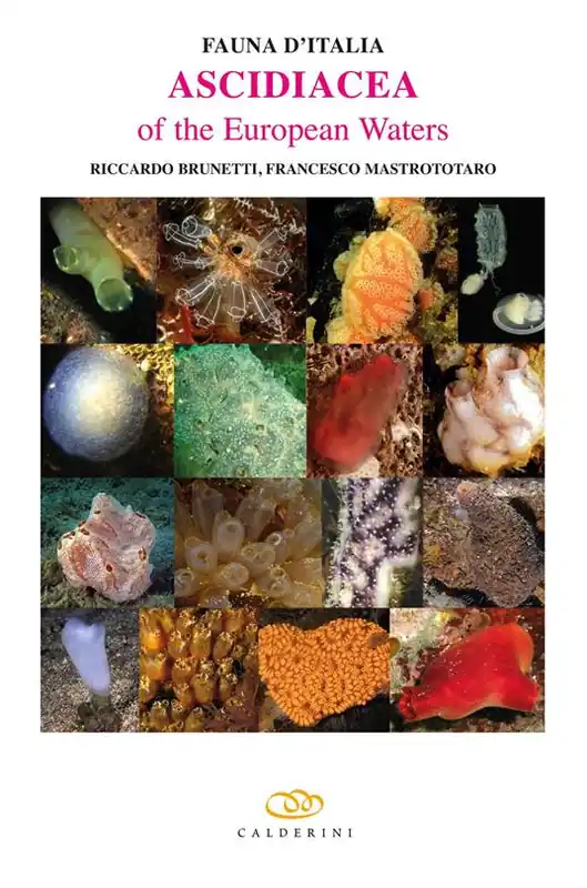 Subito Disponibile Ascidiacea of the European waters. Ediz. illustrata
