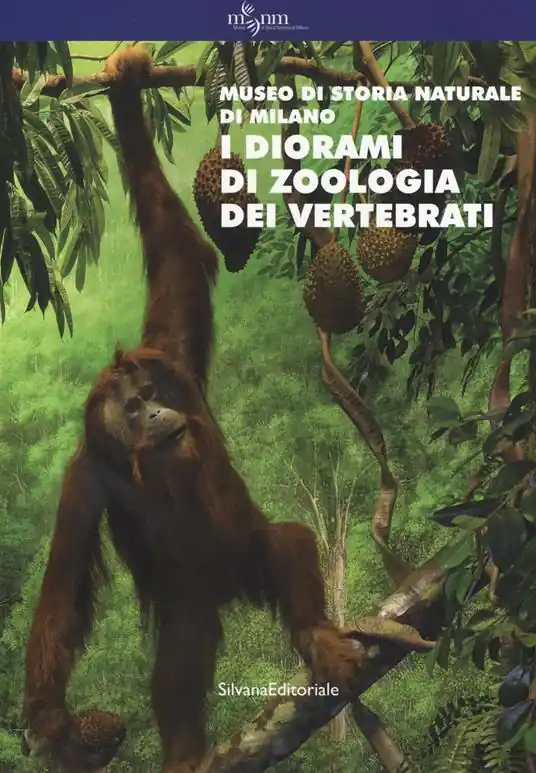 Compra Adesso I diorami di zoologia dei vertebrati. Museo di storia naturale di Milano. Ediz. a colori