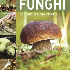 Cercare e trovare funghi. Cercarli, trovarli, riconoscerli, cucinarli Prezzo Di Fabbrica