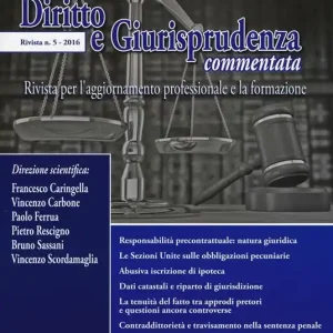 Subito Disponibile Diritto e giurisprudenza commentata (2016). Vol. 5