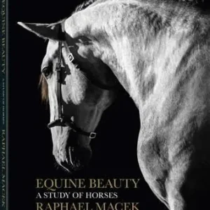 Affare Equine beauty. A study of horses. Ediz. a colori