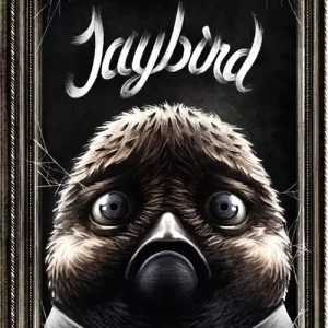 Prezzo Ridotto Jaybird