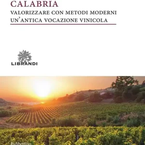 Calabria. Valorizzare con metodi moderni un‘antica vocazione vinicola Consegna Rapida