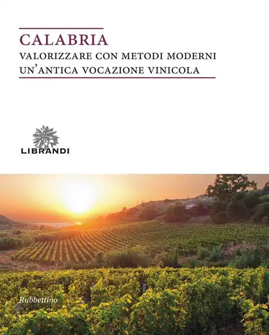 Calabria. Valorizzare con metodi moderni un‘antica vocazione vinicola Consegna Rapida
