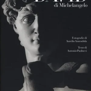 Di Tendenza Il David di Michelangelo. Ediz. illustrata