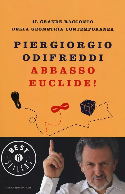 Affare Abbasso Euclide! Il grande racconto della geometria contemporanea. Ediz. illustrata