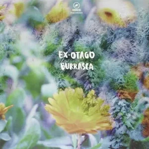Offerta Del Giorno Burrasca