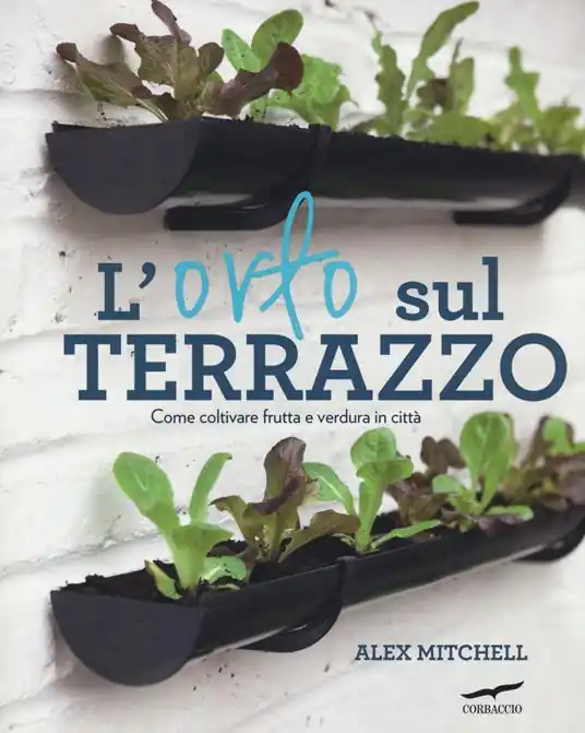 L‘orto sul terrazzo. Come coltivare frutta e verdura in città Spedito Oggi